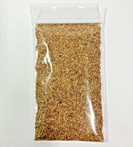 Zenith zoysia 000 grass - 12,000+,