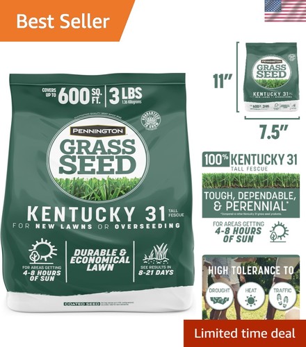 Kentucky fescue grass seed - kentucky,