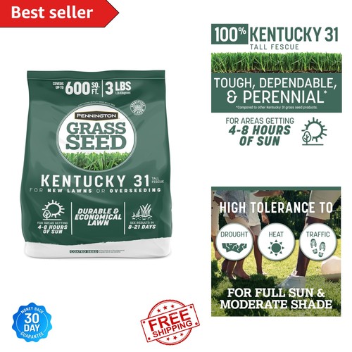 Kentucky tall fescue - kentucky, 31