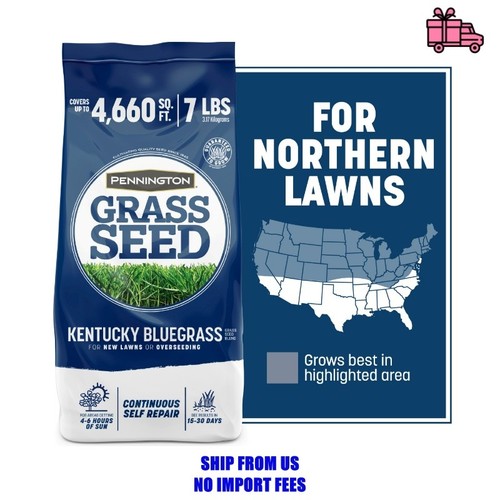 Pennington kentucky bluegrass - kentucky,