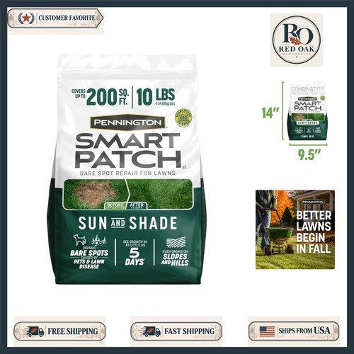Quick greening lawn grass - quick-greening,