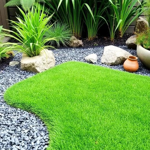 Garden evergreen dwarf - garden, grass