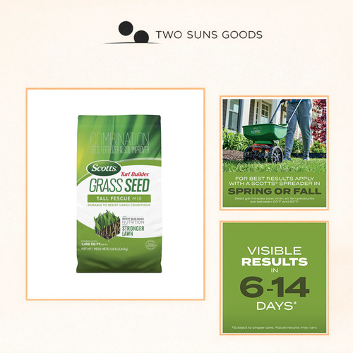 Tall fescue grass seed - fescue, mix