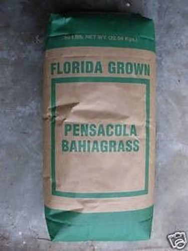 Pensacola bahia pasture - pasture, grass