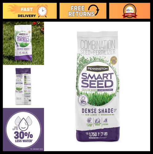 Dense shade grass - dense,