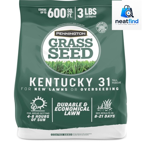 Kentucky fescue lb tall - kentucky,