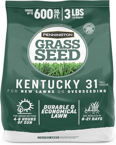 Pennington kentucky fescue - pennington, 31
