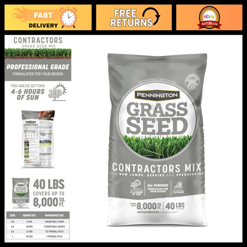 Northern grass seed mix - grass,