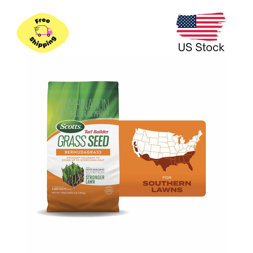 Bermudagrass grass seed - bermudagrass,