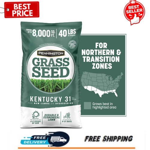 Hot pennington kentucky - kentucky, 31