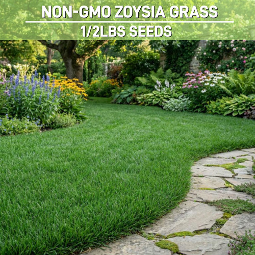 Emerald zoysia grass - grass, seeds/