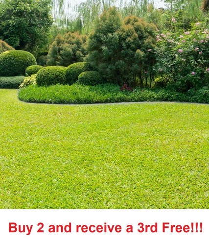 Bermuda grass seed - grass, seed,
