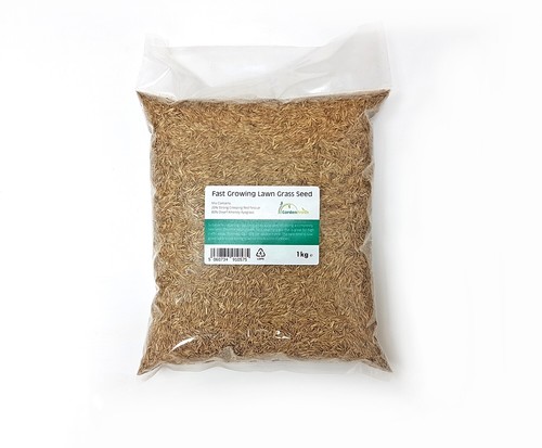 Rapid quick growing - quick,
