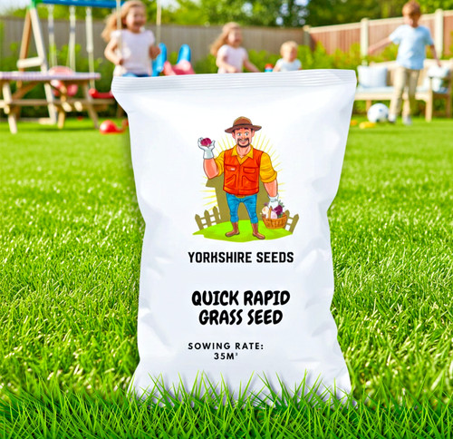 Rapid growing grass seed for - seed,