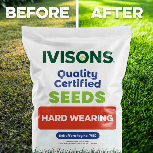Grass seed hardwearing - grass, fast