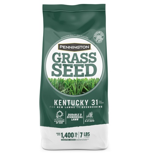 Pennington kentucky tall - 31,