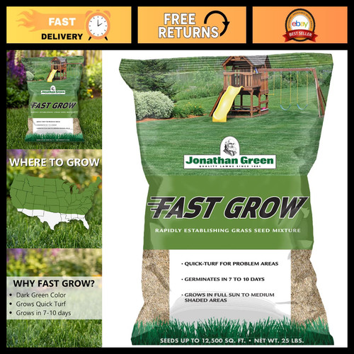 Fast grow grass seed cool - seed,