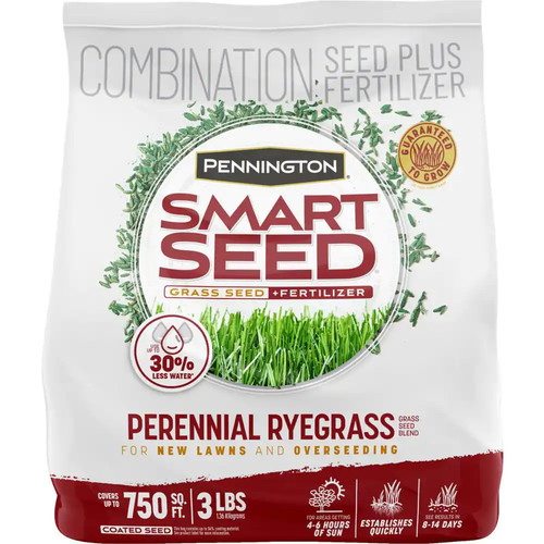 Smart seed perennial ryegrass - seed,