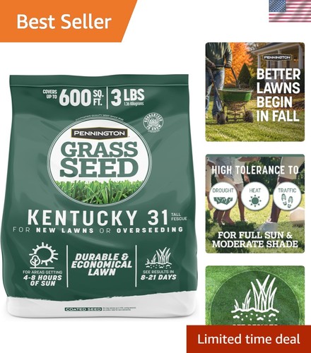 Kentucky tall fescue - 31,