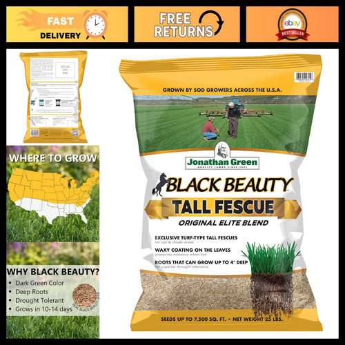 Premium tall fescue - premium,