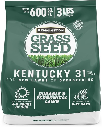 Pennington kentucky fescue - pennington,