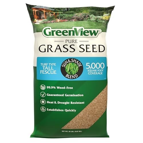 Tall fescue grass - grass, blend