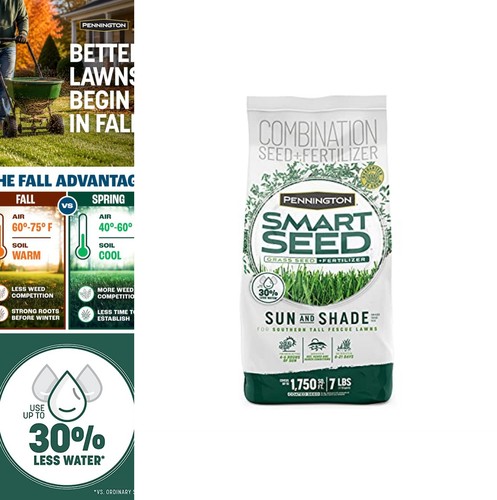 Tall fescue grass - seed, lb