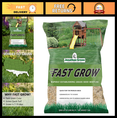 Fast grow grass seed - fast,