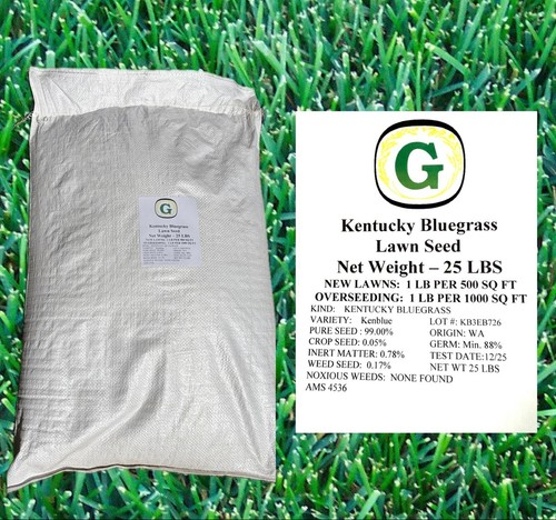 Kentucky bluegrass grass seed - bluegrass,
