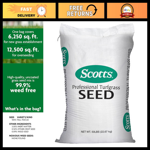 Premium tall fescue - tall, grass