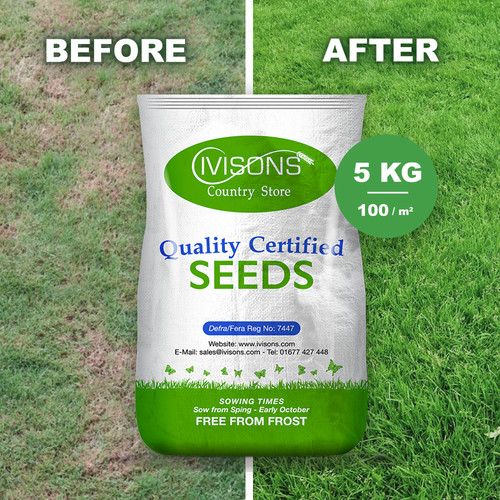 5kg premium back lawn seed - premium,