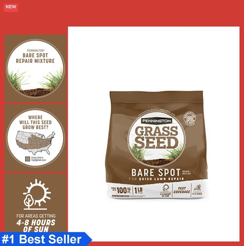 Bare spot repair grass seed - grass,