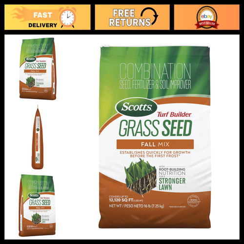 Premium grass seed - seed, fall