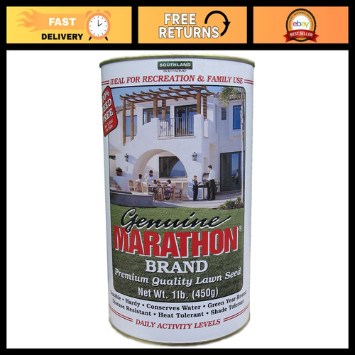 Premium grass seed fast - seed,