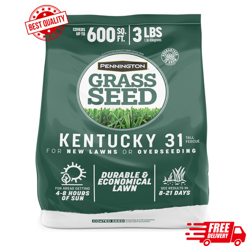 Pennington kentucky fescue - pennington,