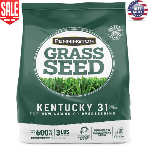Kentucky tall fescue - kentucky, 31