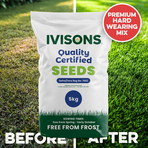5kg grass seed quality - 5kg, lawn