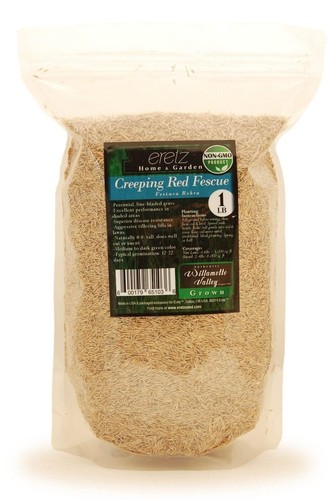 Creeping red fine fescue - creeping, grass