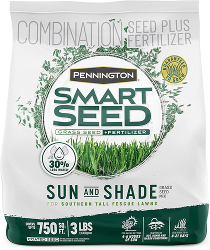Smart seed sun and - seed, tall
