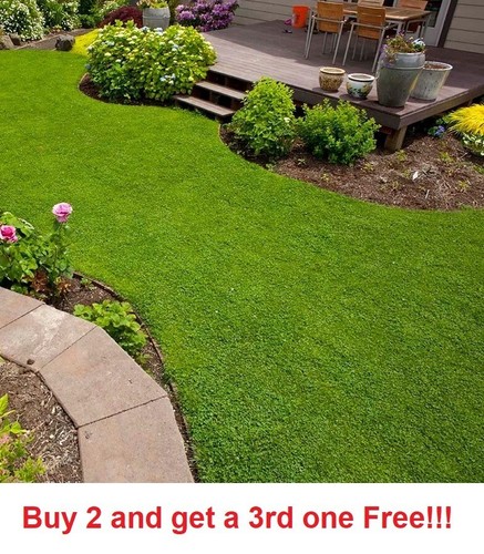 Micro clover seeds - , 5000-8000