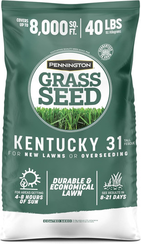Kentucky fescue lb - 40,