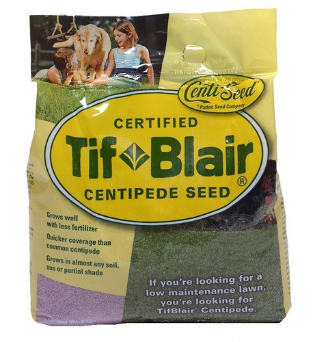 Tifblair centipede grass seed - tifblair,