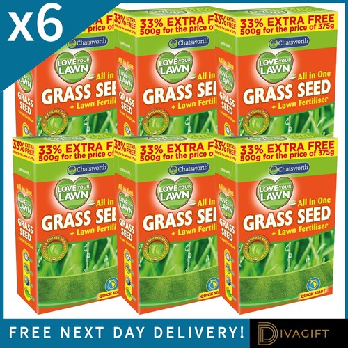 Grass seeds 500g lawn - grass,