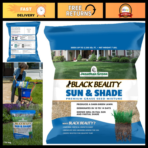Premium sun shade grass seed - shade,