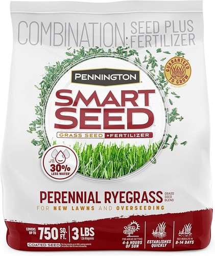 Smart seed perennial ryegrass - seed,