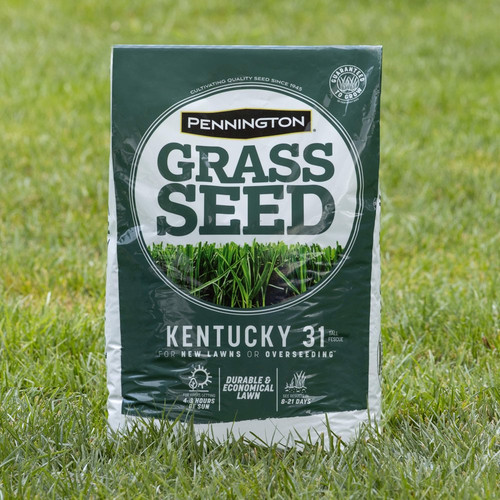 Pennington grass seed kentucky - grass,