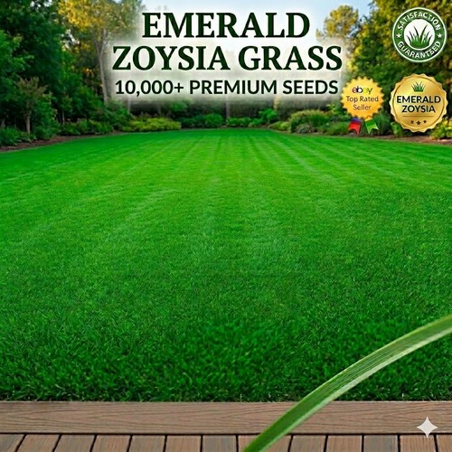 000 emerald zoysia grass - emerald,