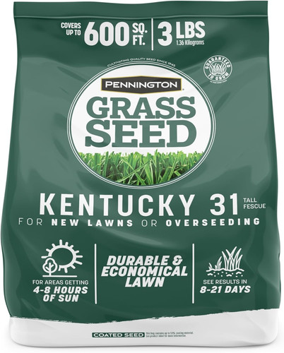 Kentucky fescue lb tall - 3,