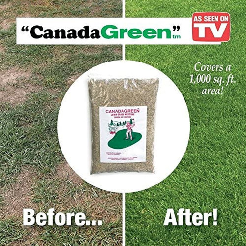 Canada green premium grass - canada,