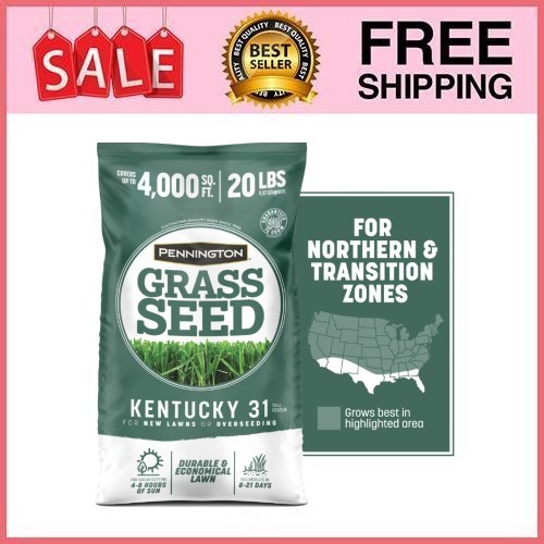 Pennington kentucky tall - 31,